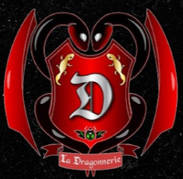 Dragonnerie